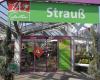 1A Garten Strauß
