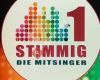 1Stimmig - Die Mitsinger