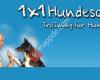 1x1 Hundeschule