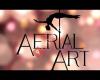 Aerial Art Poledance