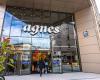 agnes