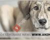 Animal Info Hundeseminare