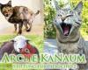 Arche KaNaum - Stiftung für Tierschutz