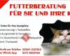 Artgerechtes Katzenfutter, hochwertiges Futter für die Katze