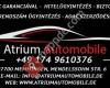 Atrium Automobile Germany