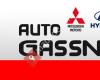 Auto Gassner