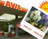 Avia Tankstelle Mittel