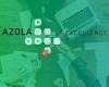 Azola Consulting