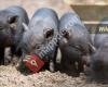 Azubis im Wildpark Schwarze Berge