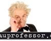 Bauprofessor