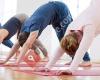BDY - Berufsverband der Yogalehrenden in Deutschland e.V.