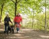 Betreuung und Pflege Schleswig