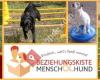 Beziehungskiste Mensch - Hund