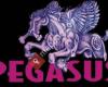 Bierbar Pegasus