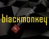 blackmonkey