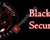 Blacksteel Security