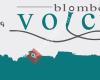 blomberg-voices.de