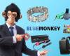 BlueMonkey.shop