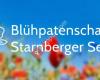 Blühpatenschaft Starnberger See