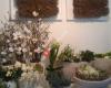 Blumen-Boutique Schmitz