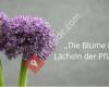 Blumen Stricker Schermbeck