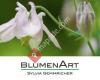 BlumenArt Diez