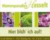 Blumenparadies Hasselt