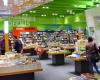 Bookstore Decius GmbH - Books for Laatzen