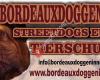 Bordeaux Doggen in Not Streetdogs Europe