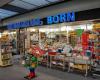 Buchhandlung Born GmbH
