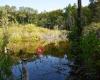 Bund Naturschutzzentrum Hegau