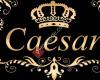 caesar-shisha.com