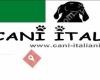 Cani italiani - italienische Hunde