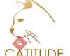 Catitude / Holistische Katzentherapie / Sylvie C. Sterling