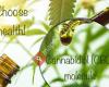 CBD oil ,choose Physical and Mental health