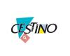 Cestino - Young Fashion