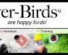 Clever-Birds