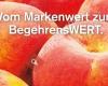 Concence Marken- und Marketing-Beratung