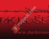 Dark Rose