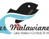 Der-Malawianer-Aquaristik Online Shop
