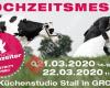 Die Profi Hochzeiter - Gronau