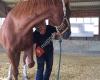 Dorn-Osteopathie für Pferde -  Nicole Jost