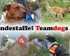 DRV Rettungshundestaffel Teamdogs e.V.