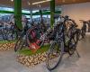 e-motion e-Bike Welt Schleswig