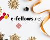 e-fellows.net