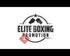 Elite Boxing Landau