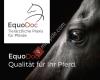 EquoDoc-Tierärztliche Praxis für Pferde in Wolfenbüttel, Braunschweig, Salzgitter, Dr. M. Grzybowski