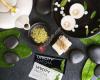 Erfolg mit Matcha - Natur, Tradition und Wissenschaft