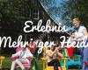 Erlebnis Mehringer Heide