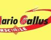 Fahrschule Mario Gallus